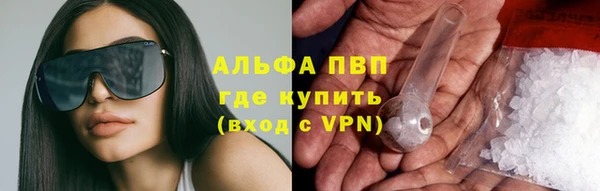 шишки Магадан